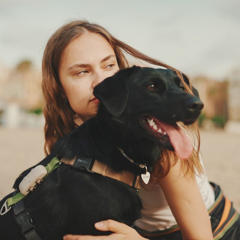 Сute girl is sitting on the sand on the beach with her pet